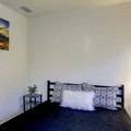 Coliving in Forest Hills Tampa - North Tampa, Tampa