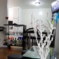 Coliving in South Los Angeles - Central Los Angeles, Los Angeles