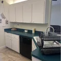 Coliving in Spring Hill - North Tampa, Tampa