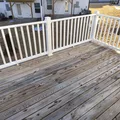 Coliving in Mallard Creek - Withrow Downs - North Charlotte, Charlotte