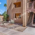 2 bedrooms apartment for rent in Jefferson Park - Central/Midtown Tucson, Tucson