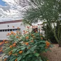 2 bedrooms apartment for rent in Casas Adobes - NW Tucson, Tucson