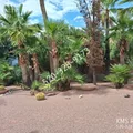 2 bedrooms apartment for rent in Sam Hughes - Central/Midtown Tucson, Tucson