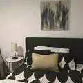 Coliving in Westchase - West Houston, Houston