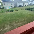 Coliving in Steele Creek - West Charlotte, Charlotte
