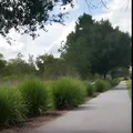 Coliving in Wesley Chapel - North Tampa, Tampa
