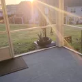 Coliving in Millbrook - North Raleigh, Raleigh