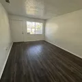 1 bedroom apartment for rent in Egypt Lake-Leto - North Tampa, Tampa