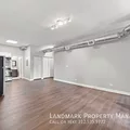2 bedrooms apartment for rent in Lower West Side - West Side, Chicago