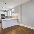 1 bedroom apartment for rent in Lower West Side - West Side, Chicago