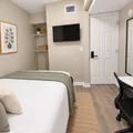 Coliving in Clearwater - Clearwater-St. Petersburg, Tampa