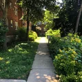 1 bedroom apartment for rent in West Mount Airy - Nw Philadelphia, Philadelphia