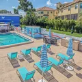 1 bedroom apartment for rent in South Sarasota - Sarasota, Sarasota