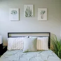 Coliving in Sulphur Springs - North Tampa, Tampa