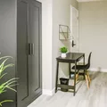 Coliving in Sulphur Springs - North Tampa, Tampa