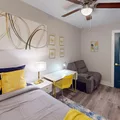 Coliving in South Baltimore - Baltimore Metro Area, Washington DC
