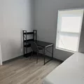 Coliving in Kenwood - Clearwater-St. Petersburg, Tampa