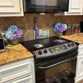 Coliving in Central Southwest - Sw Houston, Houston