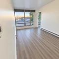 1 bedroom apartment for rent in Belmont Cragin - Northwest Side, Chicago