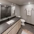 1 bedroom apartment for rent in River West - Central, Chicago