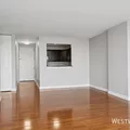 1 bedroom apartment for rent in Gold Coast - Central, Chicago