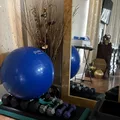 Coliving in Wesley Chapel - North Tampa, Tampa
