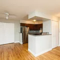 1 bedroom apartment for rent in Gold Coast - Central, Chicago