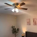 Coliving in Temple Terrace - North Tampa, Tampa