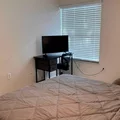 Coliving in Temple Terrace - North Tampa, Tampa