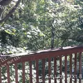 2 bedrooms apartment for rent in Dunlap - SE Seattle, Seattle