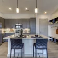 2 bedrooms apartment for rent in Govalle - East Austin, Austin