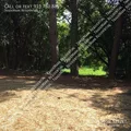 3 bedrooms apartment for rent in Worthdale - South Raleigh, Raleigh