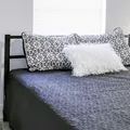 Coliving in Sulphur Springs - North Tampa, Tampa
