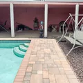 Coliving in Las Vegas - Las Vegas, Las Vegas