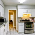 Coliving in Lowry Park North - North Tampa, Tampa