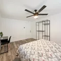 Coliving in Live Oaks Square - East Tampa, Tampa