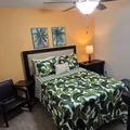 Coliving in Palm Coast - St Augustine, Jacksonville