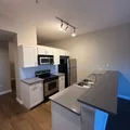 2 bedrooms apartment for rent in Stapleton - East Denver, Denver