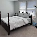 Coliving in Silver Spring - North Maryland, Washington DC
