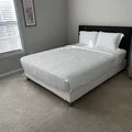 Coliving in Silver Spring - North Maryland, Washington DC