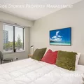 2 bedrooms apartment for rent in Bronzeville - Central, Chicago