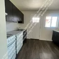 1 bedroom apartment for rent in Whittier - North Denver, Denver