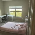 Coliving in Spring - Ne Houston, Houston