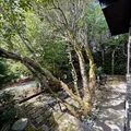 4 bedrooms apartment for rent in Tukwila - South King / Puget Sound, Seattle