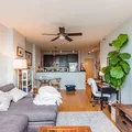 1 bedroom apartment for rent in Greektown - West Side, Chicago