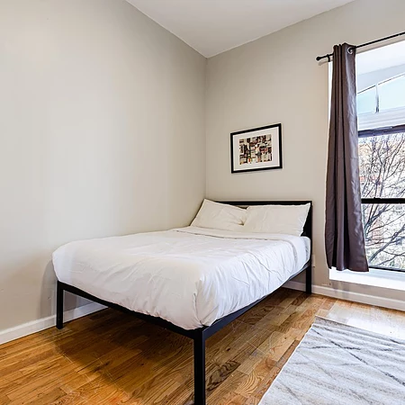 Coliving in Prospect Lefferts Gardens - Brooklyn, New York
