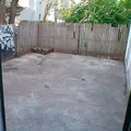 Coliving in Glenwood - North Philadelphia, Philadelphia