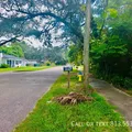 3 bedrooms apartment for rent in Seminole Heights - North Tampa, Tampa