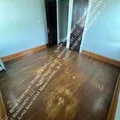 1 bedroom apartment for rent in Buckeye-Shaker - East Side Cleveland, Cleveland
