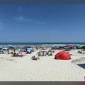 Coliving in Port Orange - Outer Orlando, Orlando